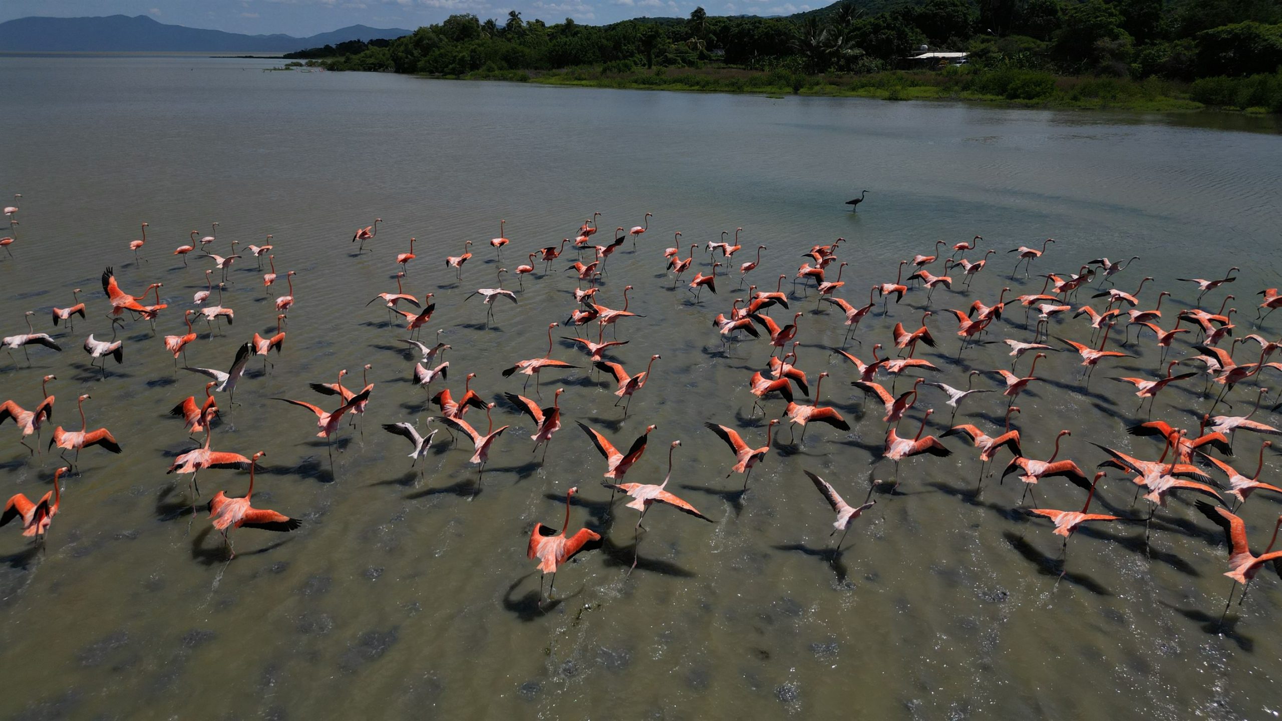 Orgullo oriental: Boca de Uchire hace brillar a Venezuela con la nominación internacional de la Laguna de Unare