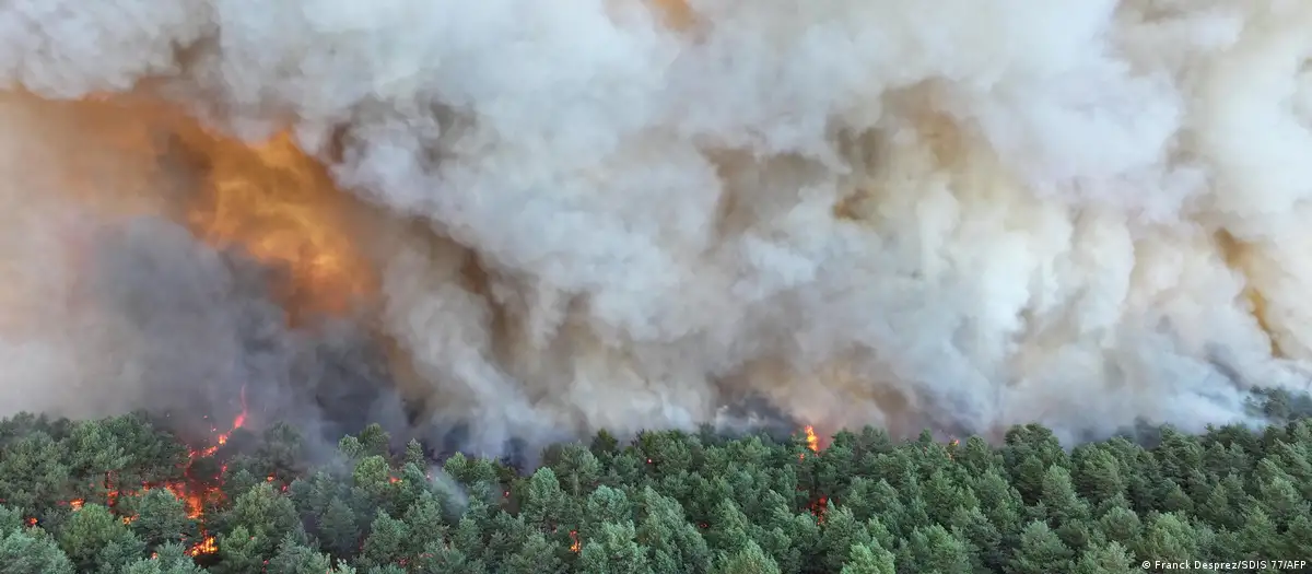 Incendio provocado en Fontainebleau arrasa 800 h