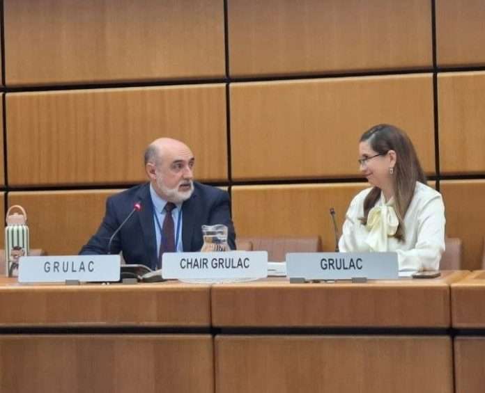Nueva presidencia de Venezuela en Viena: clave para el Multilateralismo Regional