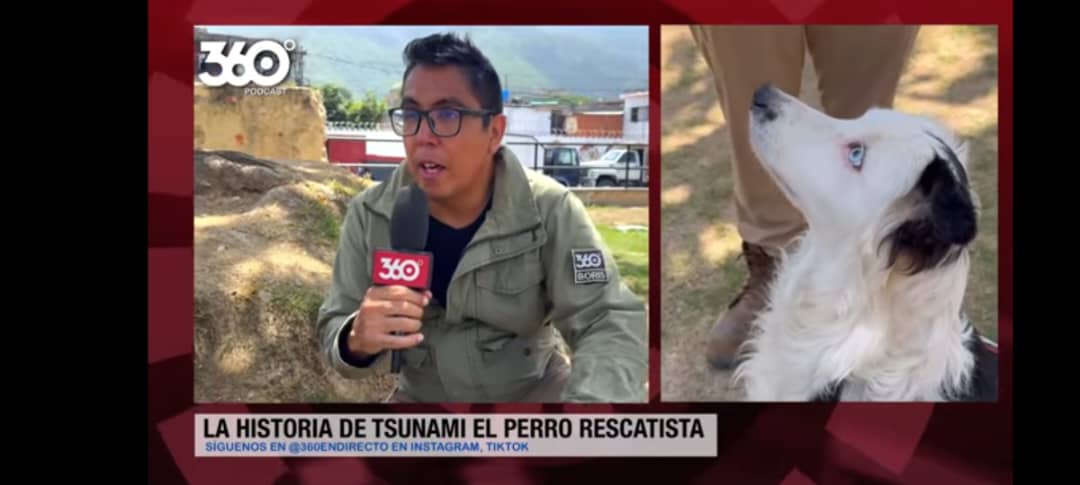 Tsunami: el perro rescatista que mueve la esperanza en Venezuela