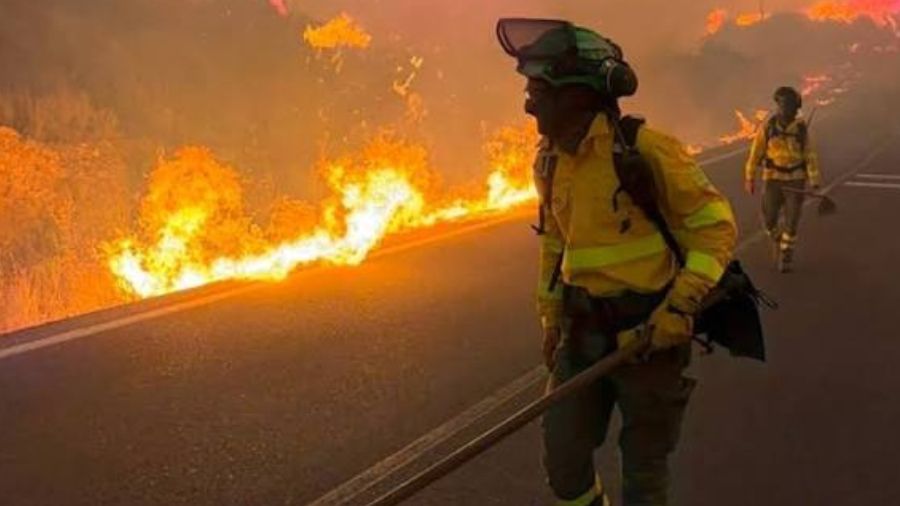 Incendio en Argelia deja once víctimas en un orfanato