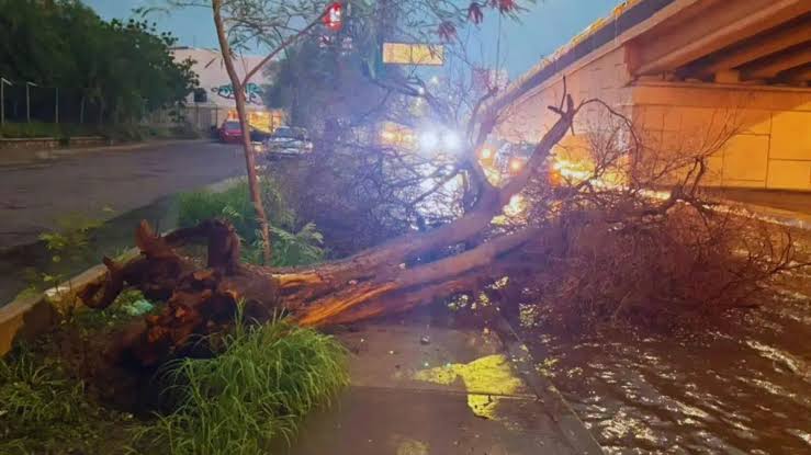 Autoridades evalúan los daños tras el paso del feroz temporal en Hermosillo