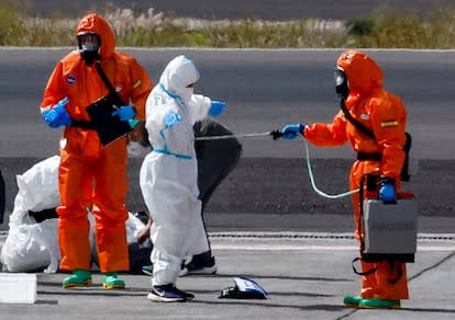 Alerta en Chile: decretan emergencia sanitaria por alza de hantavirus