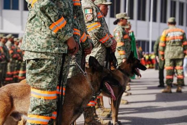 Venezuela recibe desde México más rescatistas y perros