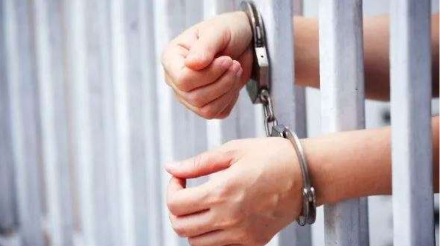 PNB detiene a alias «Cheto» por maltrato animal en Barquisimeto