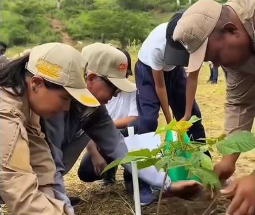 Siembran 300 árboles en el Parque Itagua