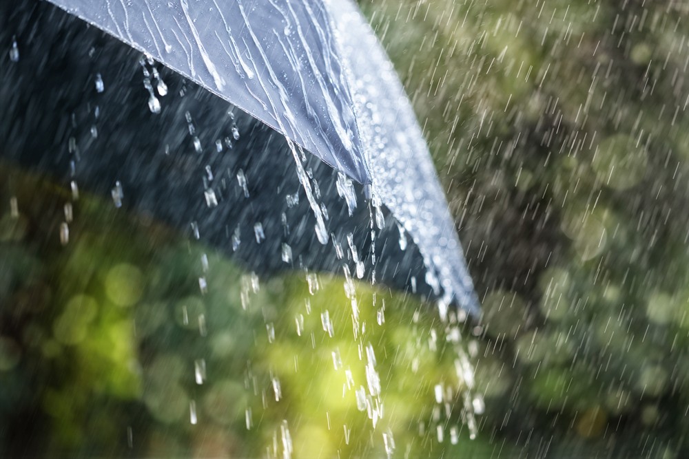 ¿Paraguas? Descubre en qué estado lloverá por el paso de la onda tropical 37