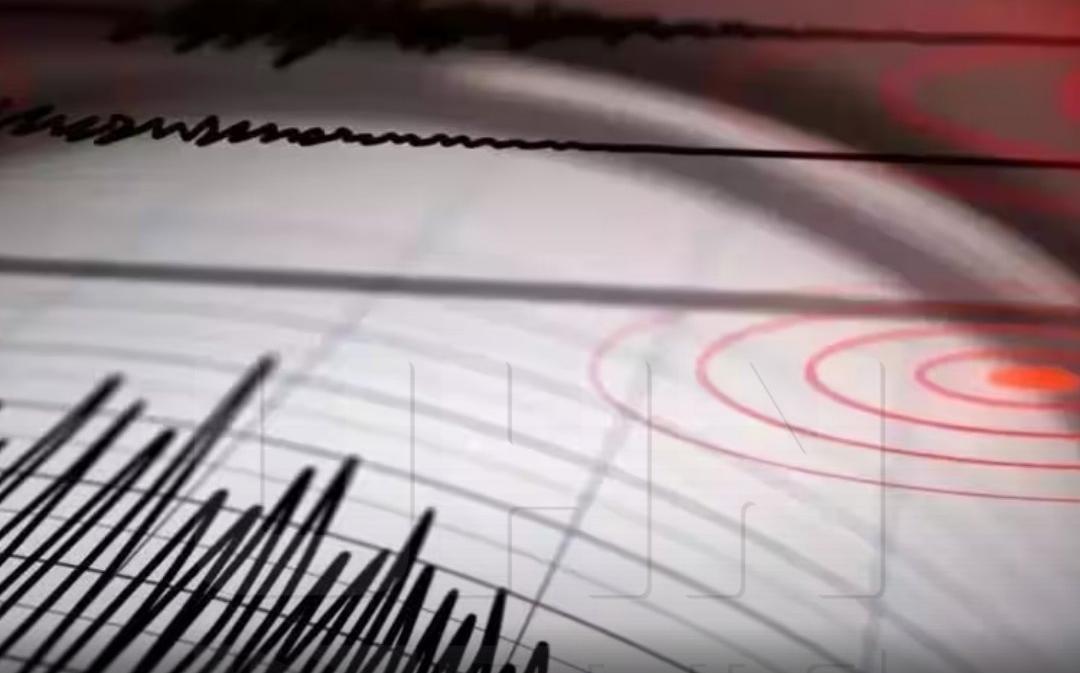 Terremoto de magnitud 5,9 sacude la costa de Nueva Zelanda