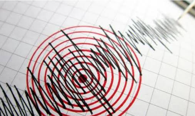 Última hora: temblor en Nueva Zelanda de magnitud 5,6 sacude la Isla Sur
