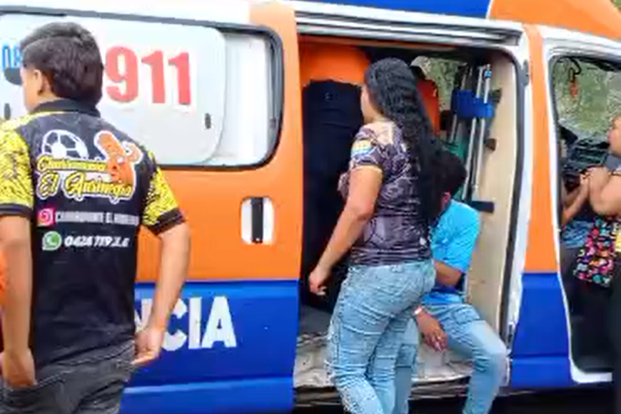 Ataque de abejas en Táchira deja 35 personas lesionadas