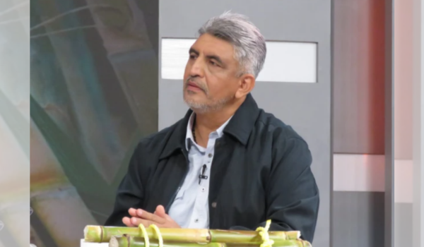 Producción de caña de azúcar abastece 55 % del consumo nacional