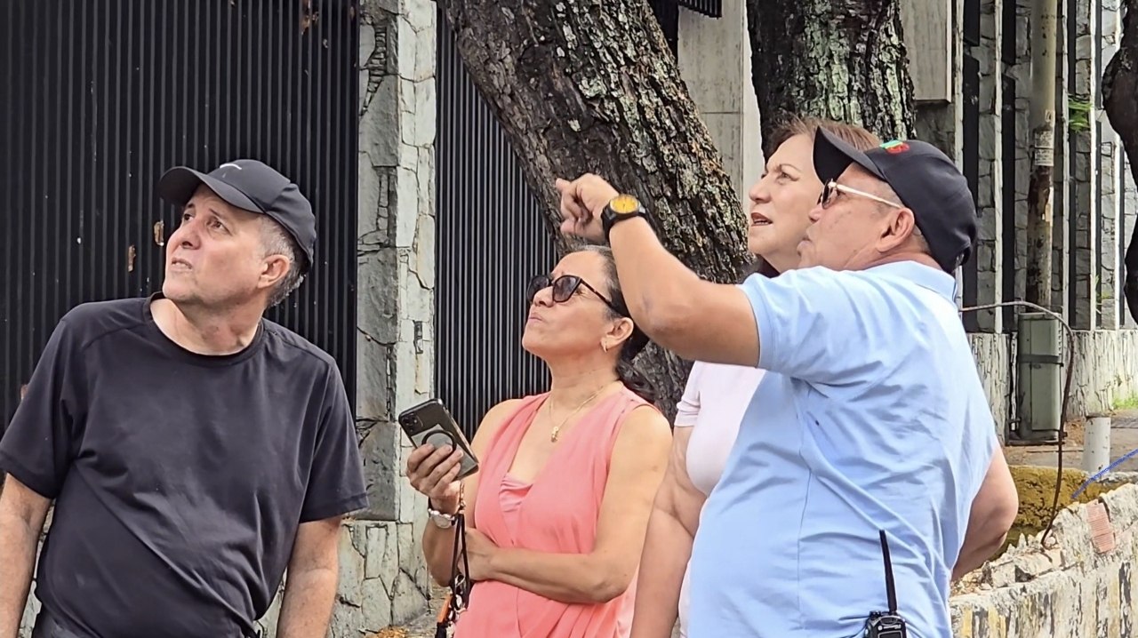 Despliegue en Los Cedros: cuadrillas trabajan para restablecer el paso y el servicio hídrico tras incidente con árbol caído