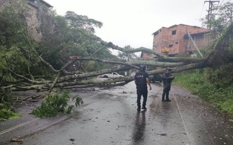 Fuertes vientos dejan severas afectaciones en varios municipios del Táchira
