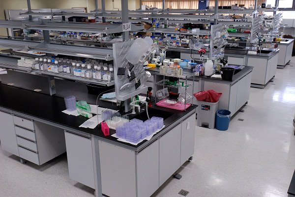 Alerta médica: Francia reporta el primer caso mundial de infección humana por el virus Shamonda