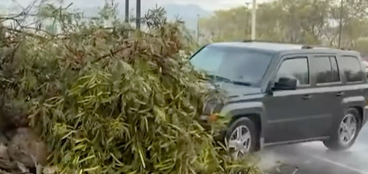 Camioneta Jeep atropella a reportera y camarógrafo