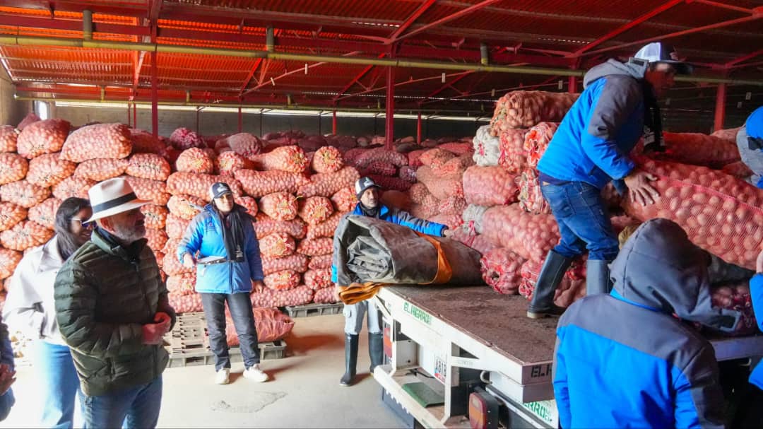 El campo andino blinda la cosecha de hortalizas para la Navidad