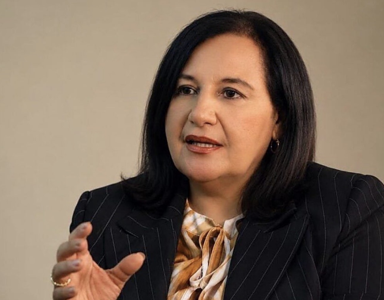 Lo que dijo Dinorah Figuera sobre la absolución y libertad de Rocío San Miguel