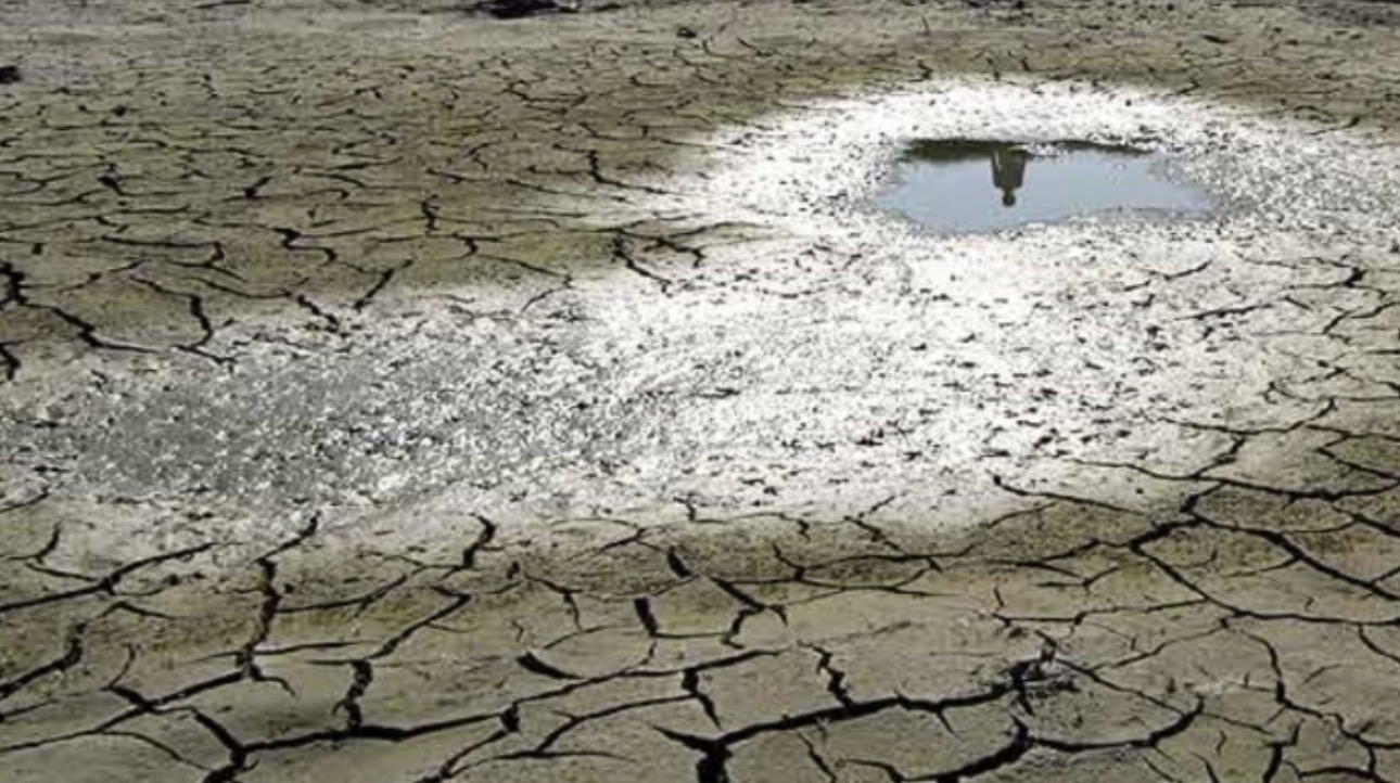 Dura emergencia en Perú: sequía afecta a más de 700 distritos.